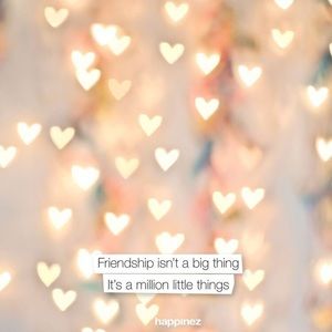 Meet your Posher, Lynnee